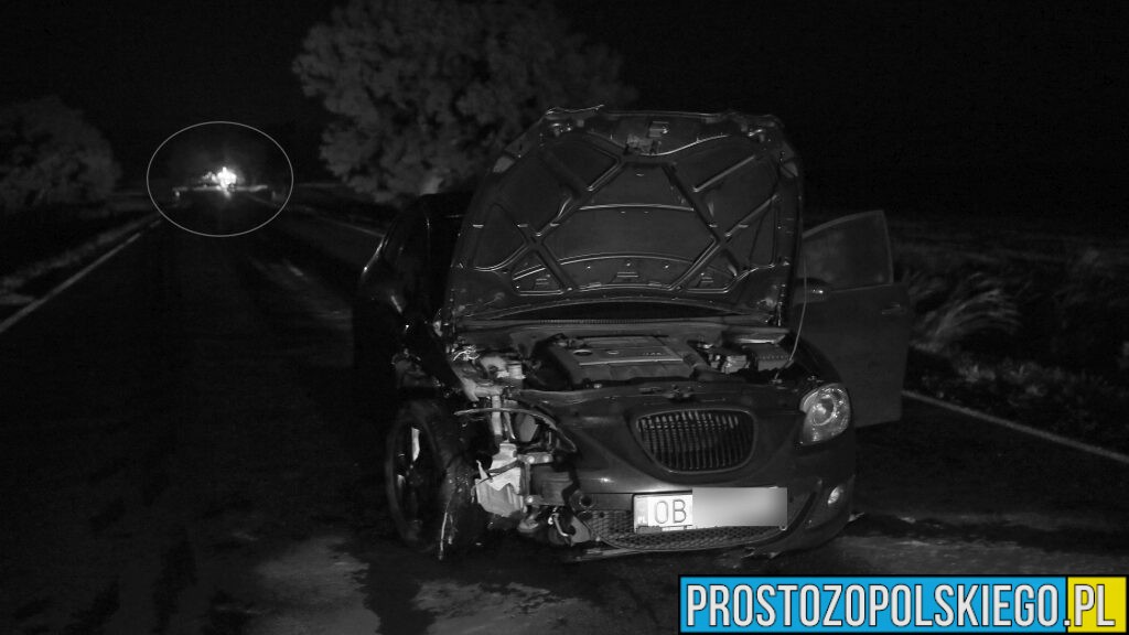 Tragiczny wypadek na DK94 w Skarbiszowie – nie żyje potrącony pieszy