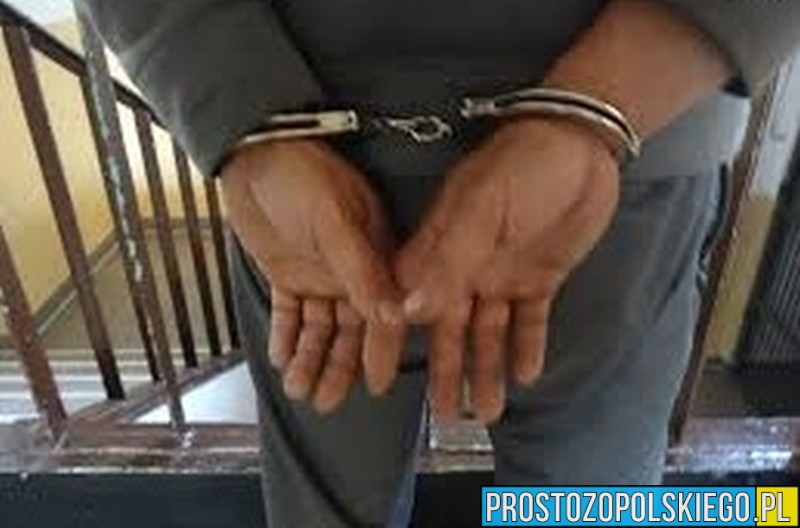 zatrzymany podczas remontu mieszkania, remont mieszkania, remont zatrzymanie policyjne, policja krapkowice,