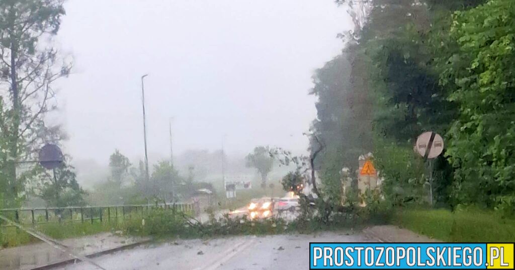 burza, burza opole, burza nad opolem, gwałtowna burza w Opolu, połamane drzewa, skutki burzy, strażacy usuwają skutki burzy,