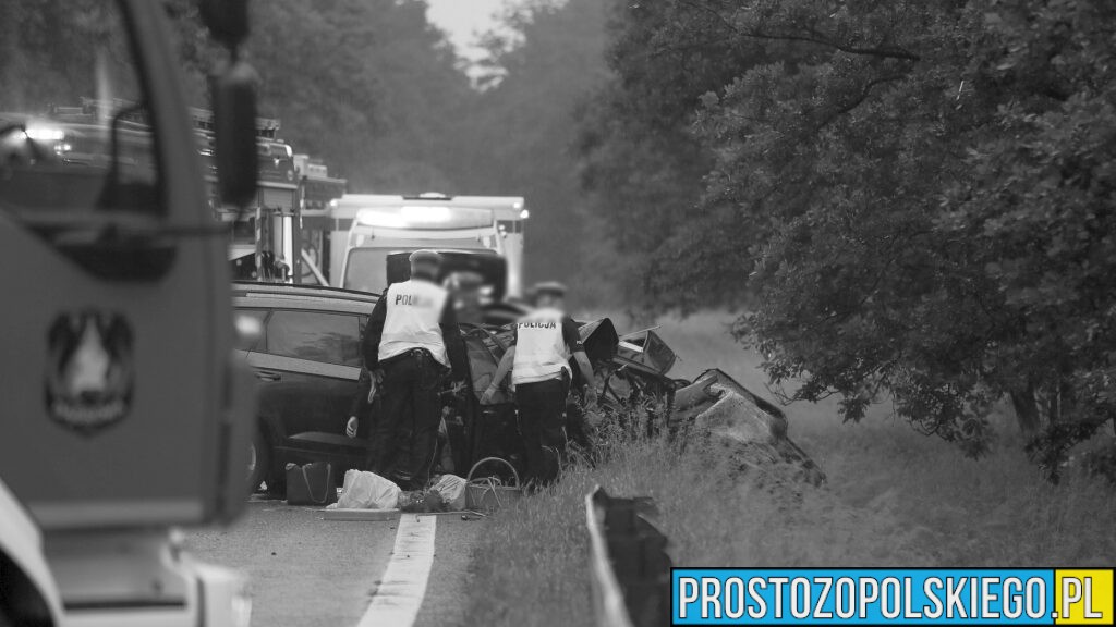 Tragiczny wypadek na DK46 w miejscowości Dąbrowa – dwie osoby nie żyją