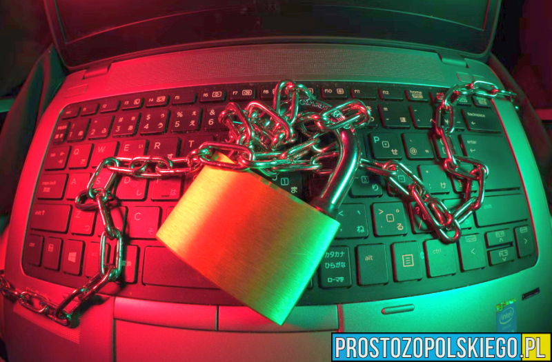 Policja rozbija grupę cyberprzestępczą na Śląsku