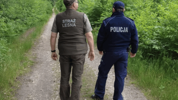 Wspólne patrole policjantów i strażników leśnych