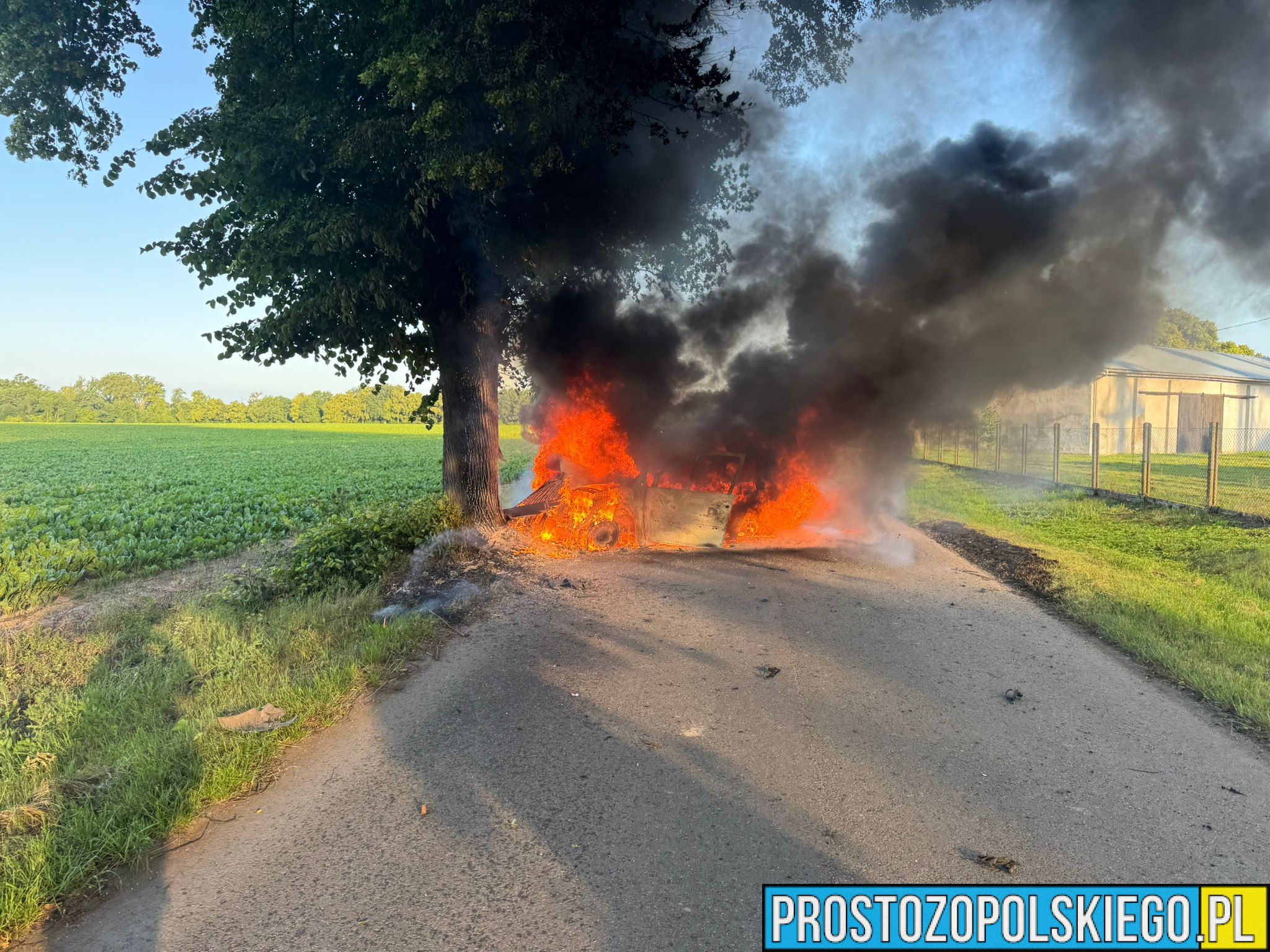 Groźny wypadek w Ciecierzynie. Samochód uderzył w drzewo i stanął w ogniu