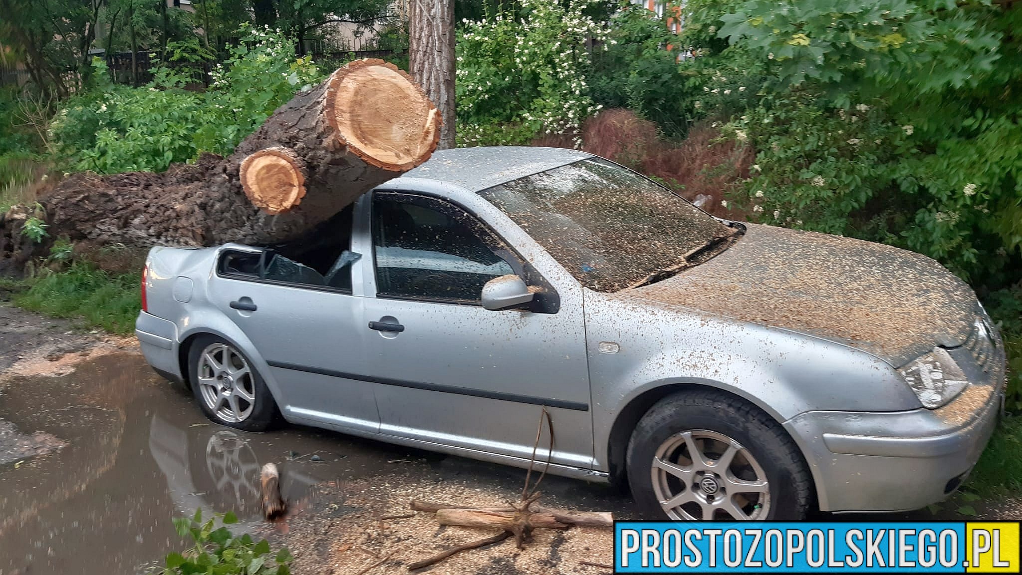 burza, burza opole, burza nad opolem, gwałtowna burza w Opolu, połamane drzewa, skutki burzy, strażacy usuwają skutki burzy,