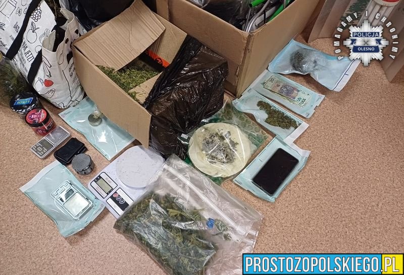Policjanci z Olesna zatrzymali 25-latka podejrzanego o handel narkotykami – zabezpieczono prawie 3 kg marihuany