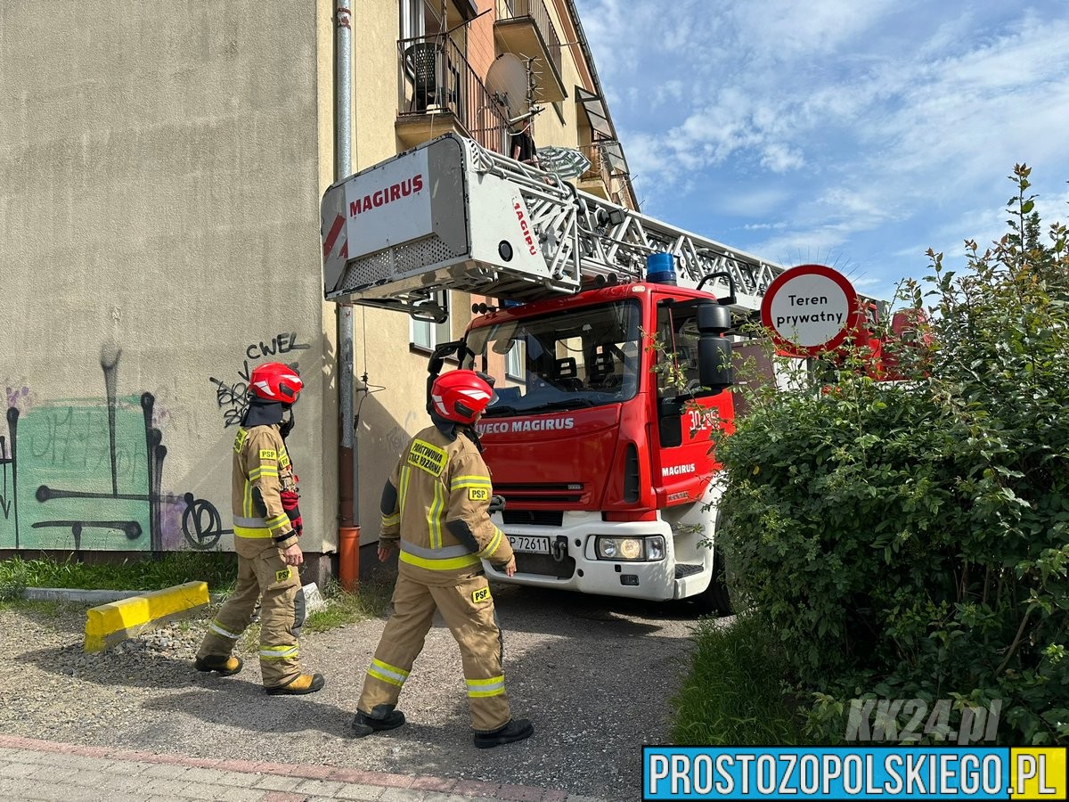 straż kędzierzyn, k24, pies na balkonie, ratowali psa, pies uratowany,