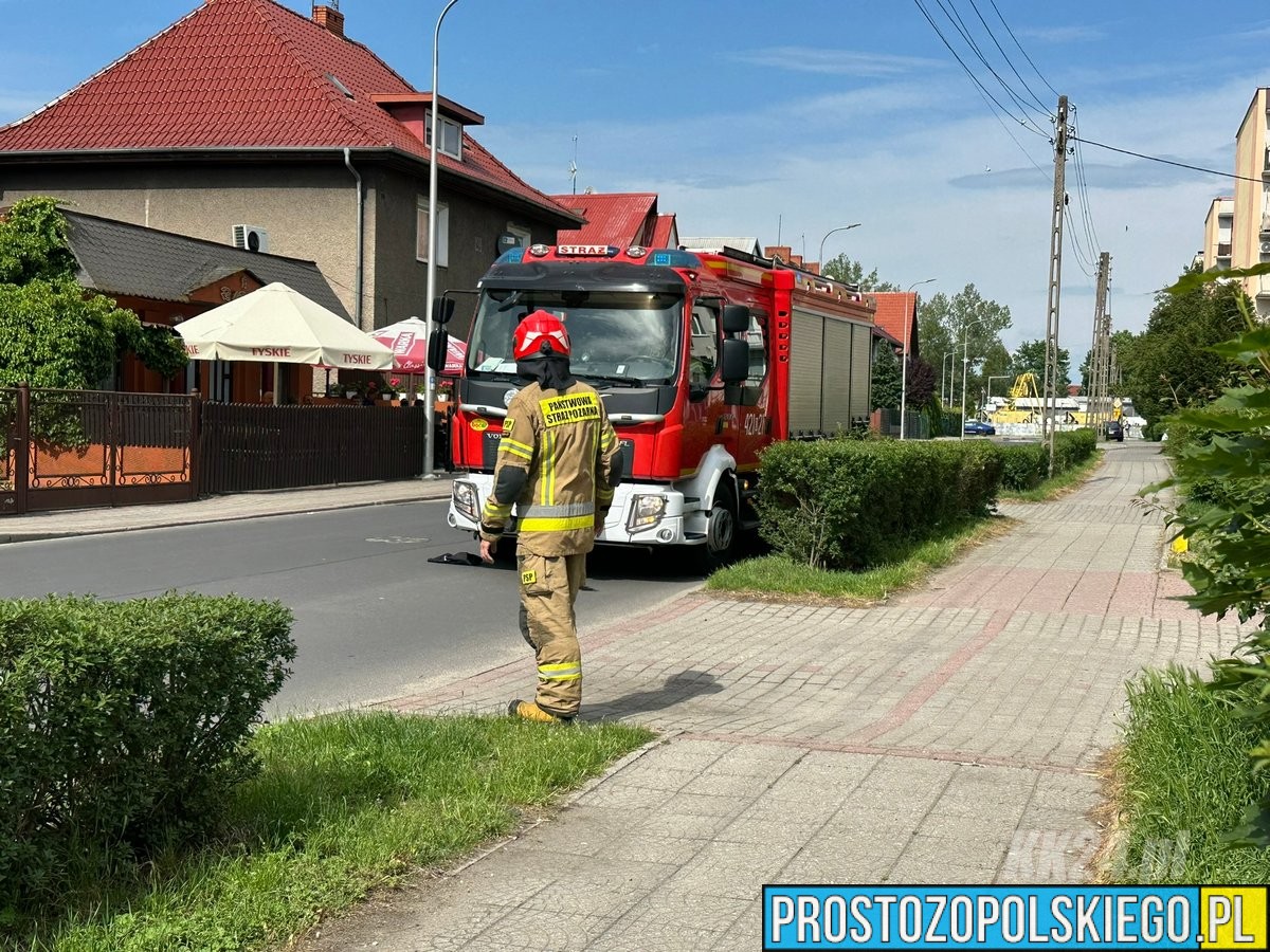 straż kędzierzyn, k24, pies na balkonie, ratowali psa, pies uratowany,