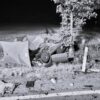 Wyszomirskiego Opole zderzenie pojazdów