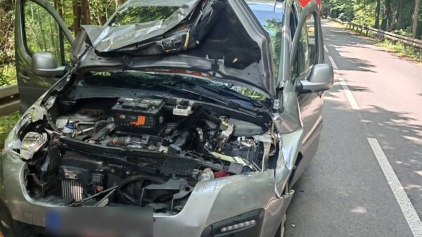 Konar spadł na samochód na trasie Pokój – Krzywa Góra.