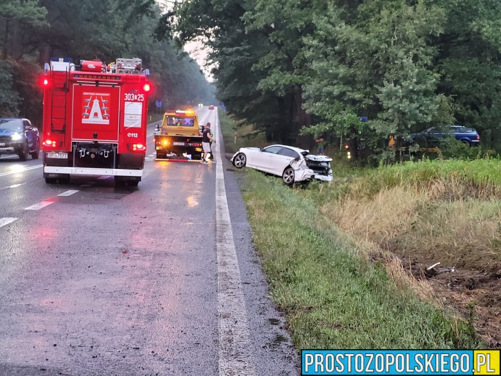 wypadek wypadek dąbrowa, wypadek bmw, kierowca bmw, wypadek w lesie, droba zablokowana,