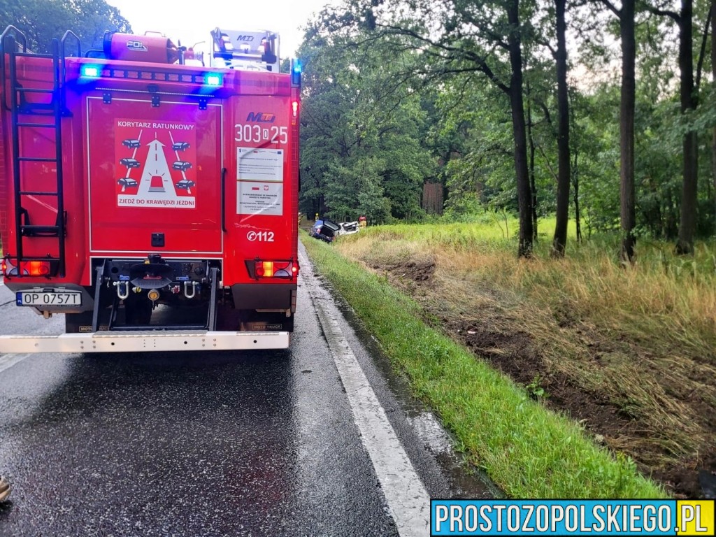 wypadek wypadek dąbrowa, wypadek bmw, kierowca bmw, wypadek w lesie, droba zablokowana,