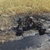 Pożar quada i zboża w miejscowości Narok. Spłonęło blisko 2 hektary upraw