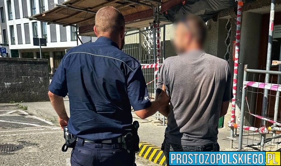 Szybkie wyroki za jazdę mimo sądowego zakazu – działania policji w Opolu i Niemodlinie