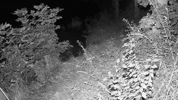 Tragiczna śmierć 67-latka nad Odrą w Zwanowicach. Policja apeluje o rozwagę