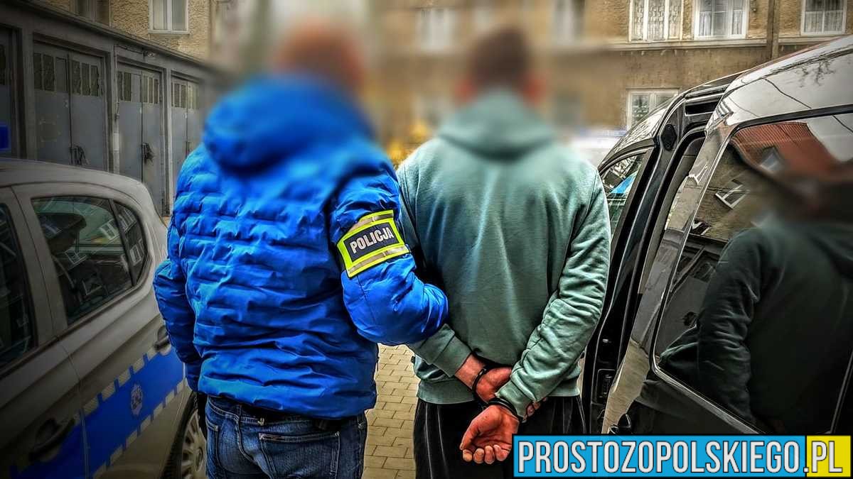 Wystawiali fikcyjne części samochodowe. Zatrzymała ich policja z Opolszczyzny