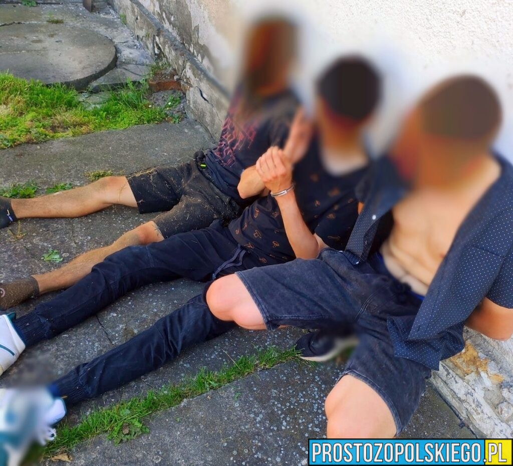 Ukradli kiełbasę i piwo na grilla. Zatrzymani przez policję ze Strzelec Opolskich