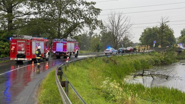 Wypadek w Starych Kolniach na DW457. Samochód uderzył w bariery – jedna osoba poszkodowana
