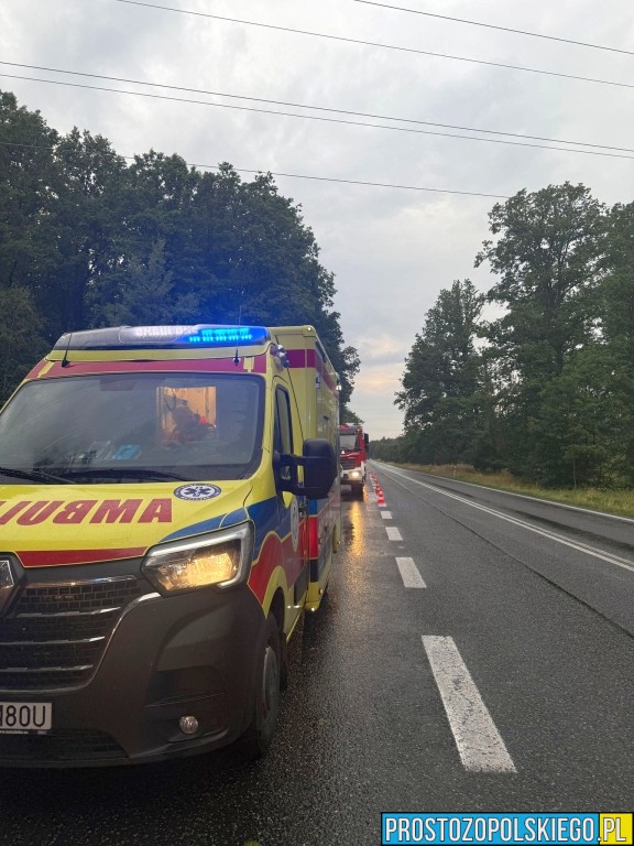 wypadek wypadek dąbrowa, wypadek bmw, kierowca bmw, wypadek w lesie, droba zablokowana,