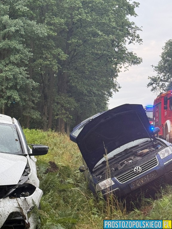 wypadek wypadek dąbrowa, wypadek bmw, kierowca bmw, wypadek w lesie, droba zablokowana,