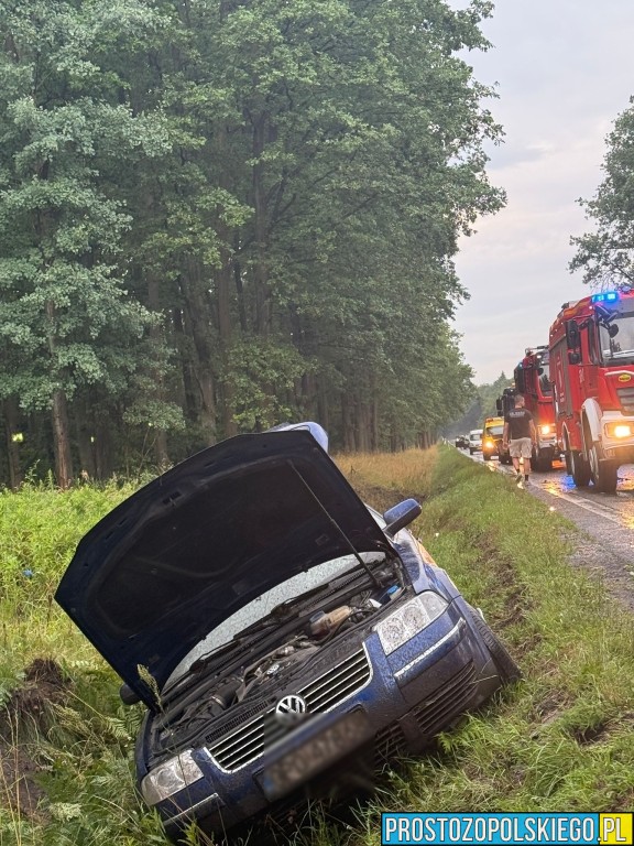wypadek wypadek dąbrowa, wypadek bmw, kierowca bmw, wypadek w lesie, droba zablokowana,