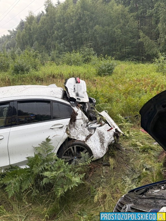 wypadek wypadek dąbrowa, wypadek bmw, kierowca bmw, wypadek w lesie, droba zablokowana,