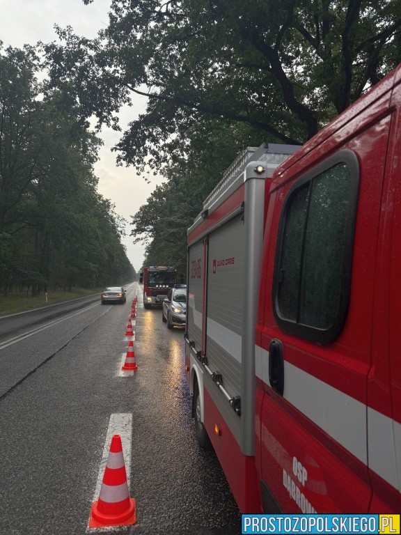 wypadek wypadek dąbrowa, wypadek bmw, kierowca bmw, wypadek w lesie, droba zablokowana,