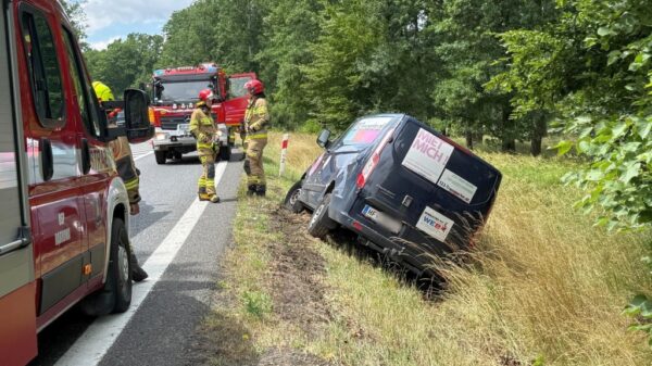Wypadek na DK46 w Dąbrowie. Samochód dostawczy wylądował w rowie – kierowca z Austrii nie odniósł obrażeń