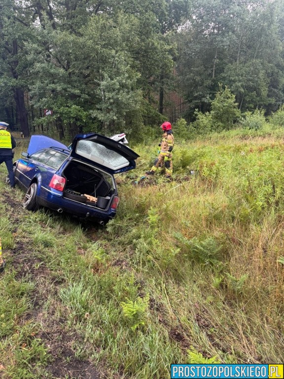 wypadek wypadek dąbrowa, wypadek bmw, kierowca bmw, wypadek w lesie, droba zablokowana,