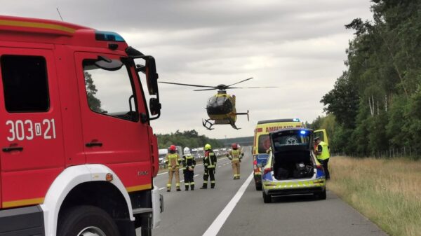 Wypadek na A4 w okolicach Opola. Bus wypadł z drogi i uderzył w drzewo – interweniował śmigłowiec LPR, jedna osoba ranna