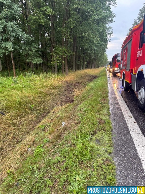 wypadek wypadek dąbrowa, wypadek bmw, kierowca bmw, wypadek w lesie, droba zablokowana,