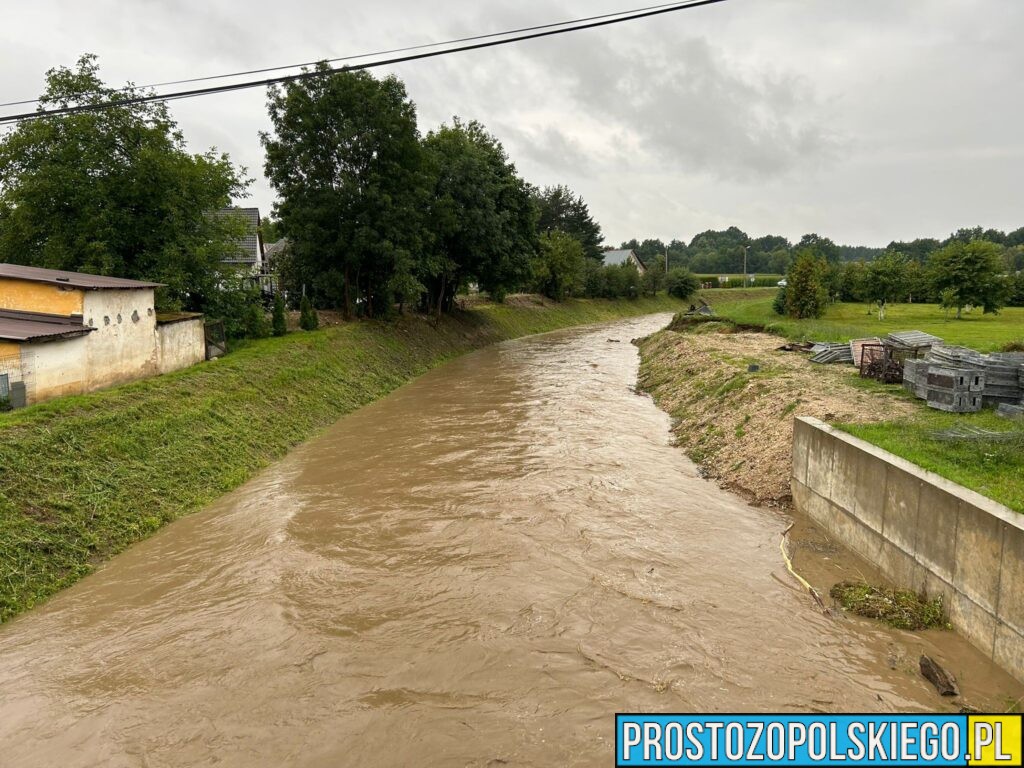 Podsumowanie interwencji związanych z intensywnymi opadami deszczu – powiat nyski, 27 lipca 2025 r.