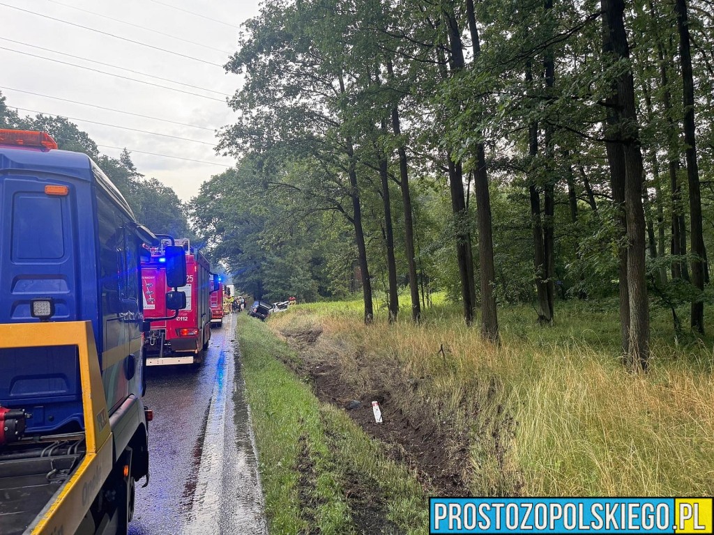 wypadek wypadek dąbrowa, wypadek bmw, kierowca bmw, wypadek w lesie, droba zablokowana,