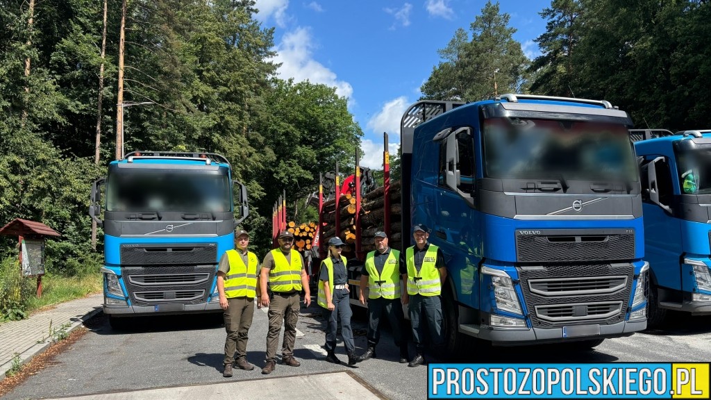 Ponad 60,5 tony i poważne usterki - kontrole drewna na drogach Opolszczyzny.
