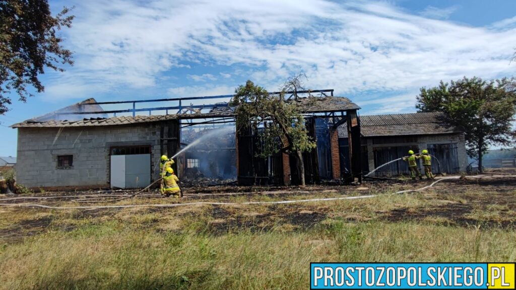 Pożar zabudowań w Odcinku. Ranny strażak i mężczyzna, 12 zastępów w akcji