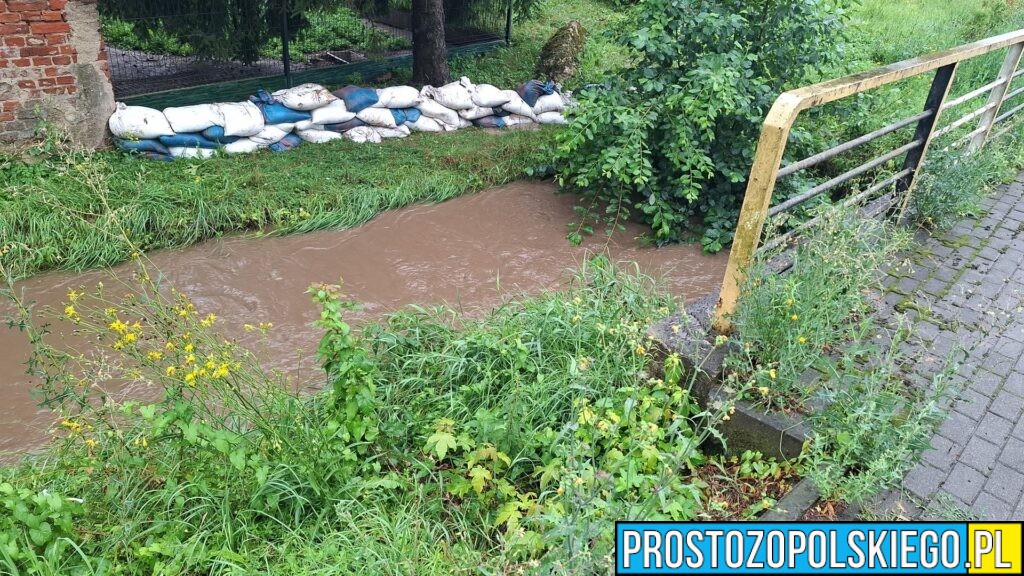 Ulewy i podtopienia w powiecie nyskim. Strażacy interweniowali ponad 20 razy