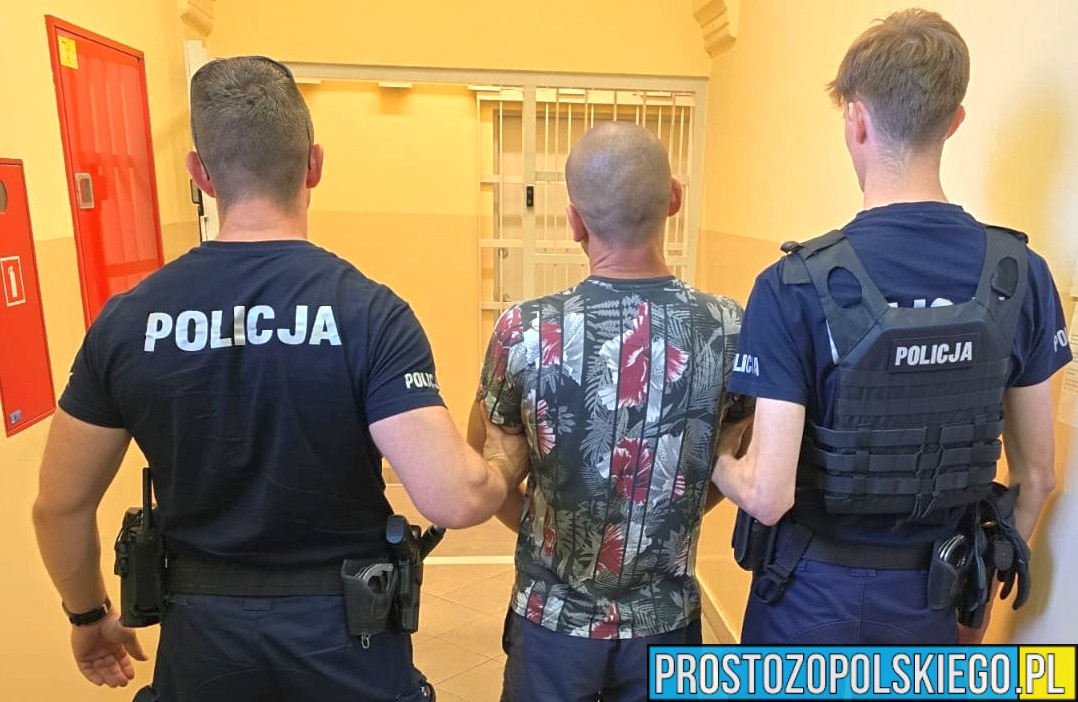 Bogdańczowice: 110 km/h w terenie zabudowanym i ponad 1,5 promila alkoholu. 41-latek trafił za kratki