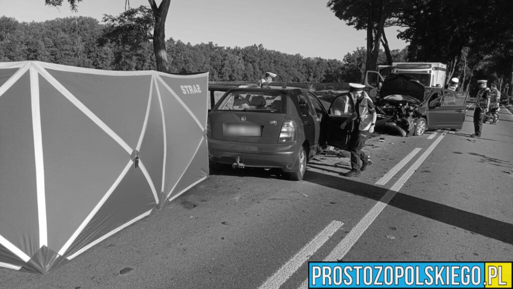 Policjanci ustalają przyczyny śmiertelnego wypadku w Jastrzygowicach na DW487
