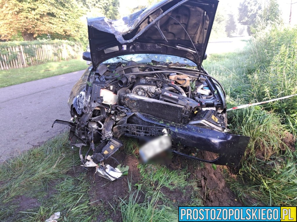 Audi uderzyło w słup energetyczny w Rogalicach. Kierowca uniknął poważnych obrażeń