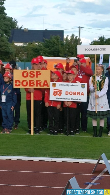 MDP, młodzieżowe drużyny pożarnicze, zawody pożarnicze, drużyny pożarnicze, zawody modzieżowe OSP,  MDP OSP, MDP z Krapkowic, KP Krapkowice, 
