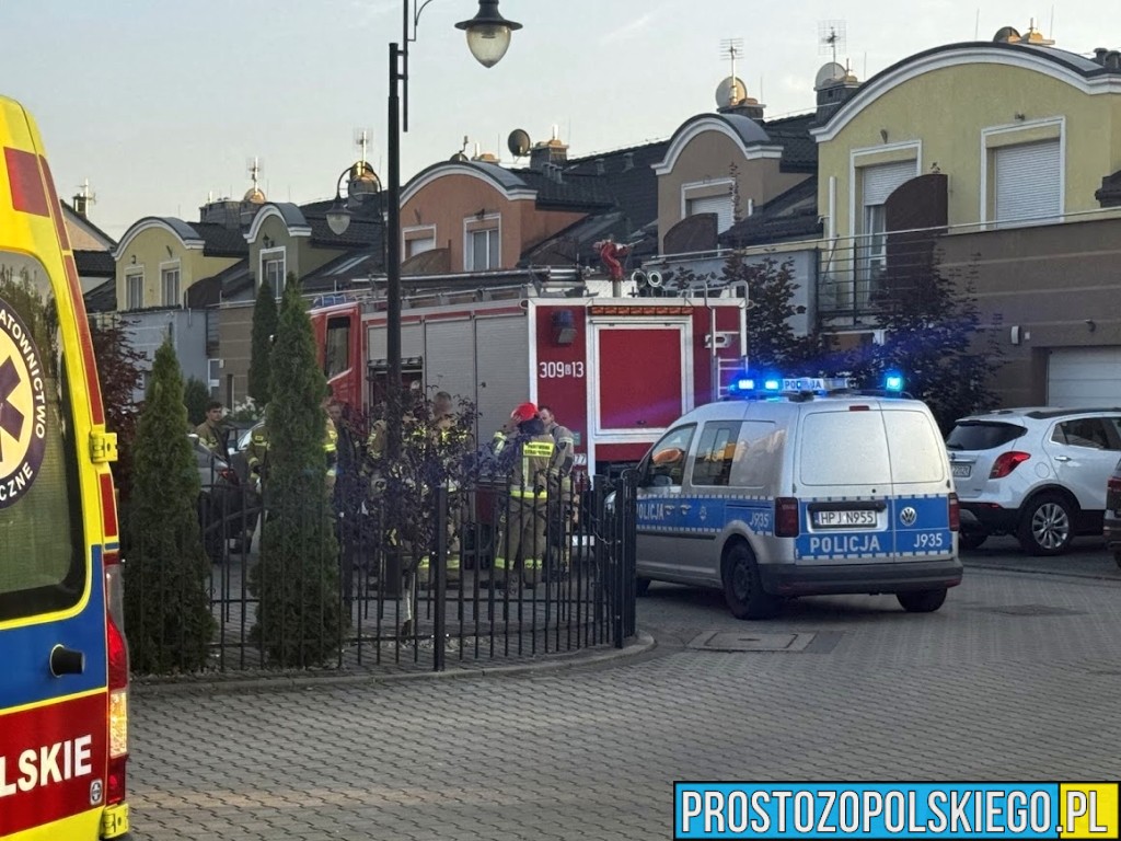 reakcja dziecka uratowała rodziców, dziecko uratowało rodziców, małe dziecko uratowało 2 rodziców, szybka reakcja dziecka uratowała życie rodziców.,