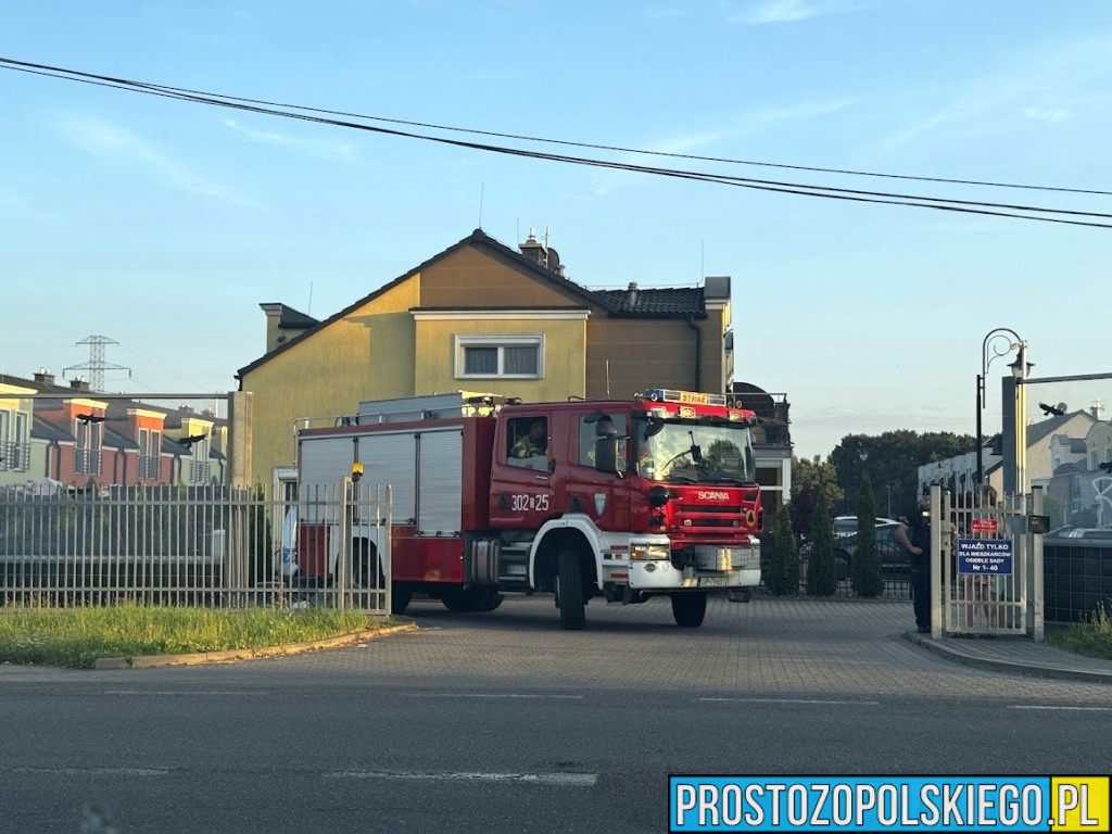 reakcja dziecka uratowała rodziców, dziecko uratowało rodziców, małe dziecko uratowało 2 rodziców, szybka reakcja dziecka uratowała życie rodziców.,