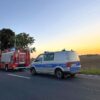 Gotartów: Kolizja ciężarówki z sarną. Na jezdnię wyciekł olej napędowy