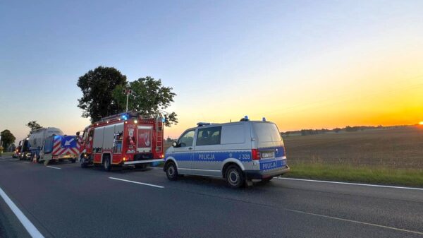 Gotartów: Kolizja ciężarówki z sarną. Na jezdnię wyciekł olej napędowy