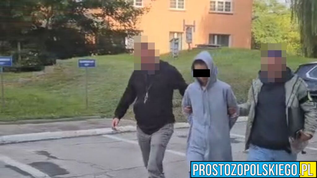 „Łowcy Głów” zatrzymali 41-latkę poszukiwaną za zabójstwo partnera w Niemczech