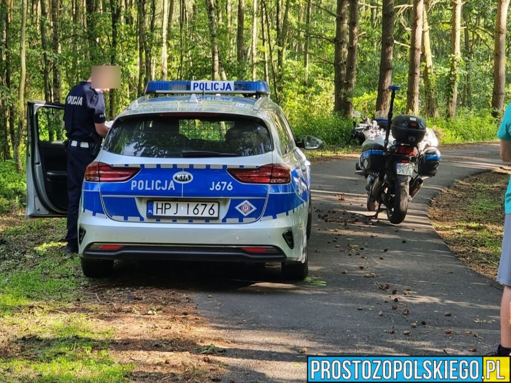 mężczyzna zmarł na parkingu, śmierć na parkingu, śmierć, gorace warunki, droga krajowa, parking na kd 46, parking leśny, 