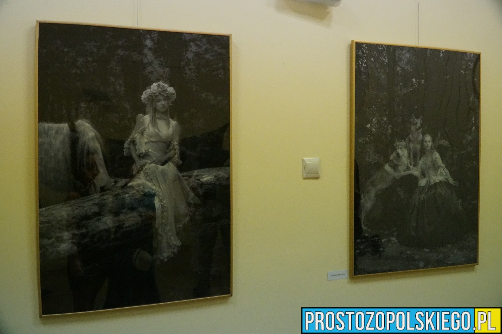 fotoklub, foto klub opole, klub fotograficzny Opole, klub foto opole, fotoklub opole, wystawa w opolu,