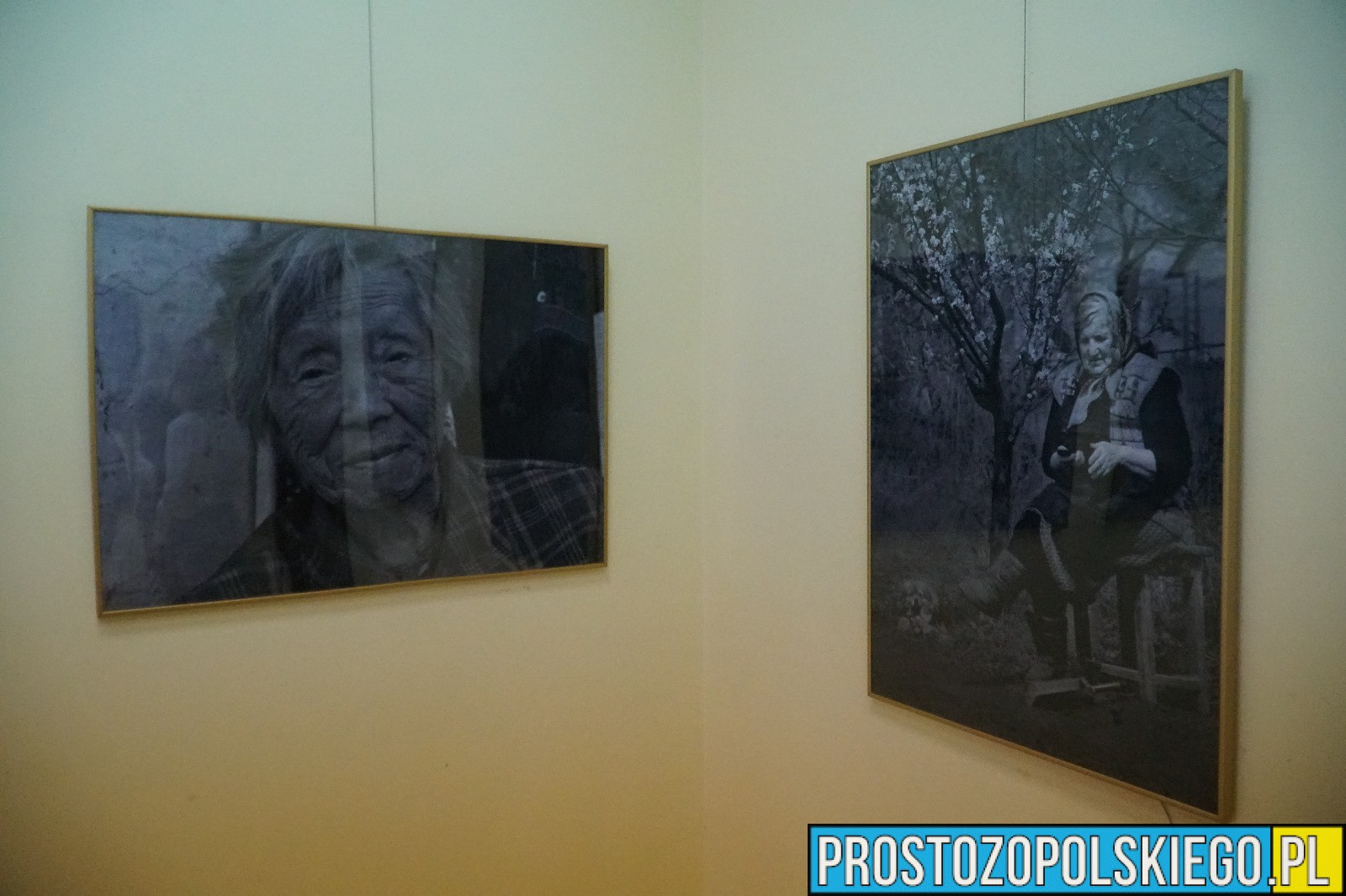 fotoklub, foto klub opole, klub fotograficzny Opole, klub foto opole, fotoklub opole, wystawa w opolu,