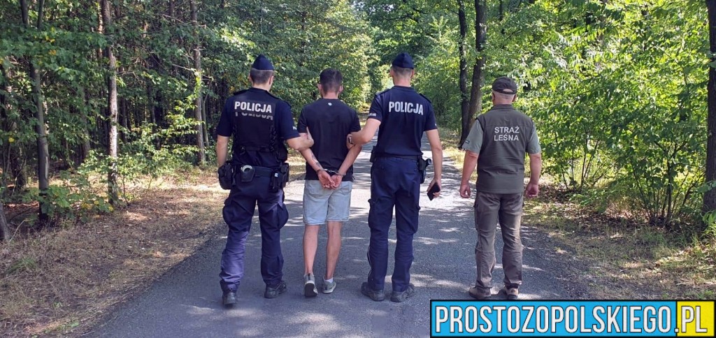 Podpalacz złapany na gorącym uczynku w lesie pod Kędzierzynem-Koźlem!