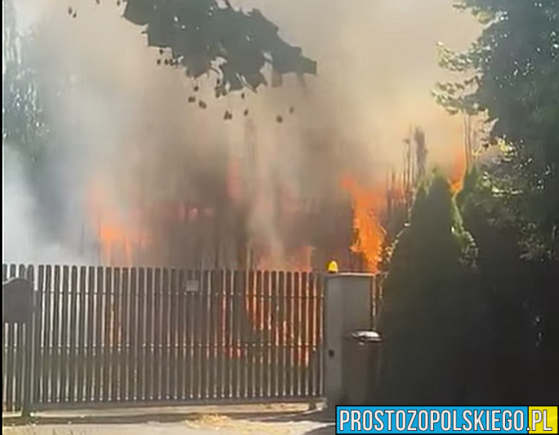 Pożar samochodu w Reńskiej Wsi. Kilka zastępów straży w akcji