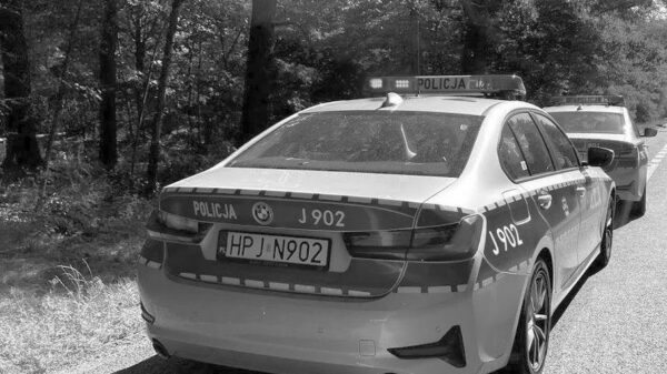 Śmiertelny wypadek w Gadzowicach. Motocyklista uderzył w drzewo
